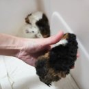 매산리 538 이미지