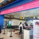 W7. 웨딩 박람회 솔직 후기 (퍼스널컬러, 사은품, 드레스 체험)