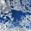아름다운 산악회 제 185차 23. 12. 10.(둘째 일요일) 산행 예정지 무주 덕유산(눈산행) 이미지