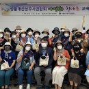 야생화 천아트 이미지