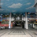 오쉬오트 이미지