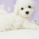 몽글몽글# 이미지