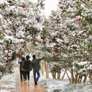 소백정원 이미지