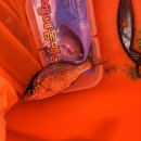 문중방파제 이미지