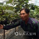사현 이미지