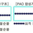 PAO 이미지