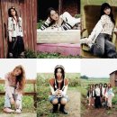 선아일랜드 이미지