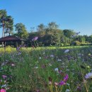 황룡공원 화장실 이미지