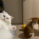 반곡중앙약국 이미지