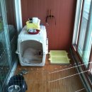 하늘켄넬 이미지