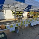 문양호농장 이미지