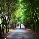 초록숲공원 이미지