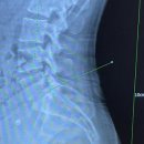 바로나마취통증의학과의원 이미지