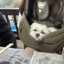 산새민박 이미지