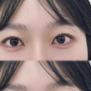 블루미니즈 이미지