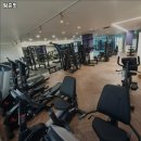 팀준핏