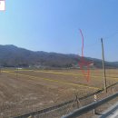 서면초등학교 이미지