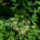 나래민박 이미지