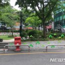 후미진 뉴시스