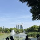 영풍푸드 | 서울숲 북크닉 후기｜토스X영풍문고 피크닉 대여 꿀팁 총정리