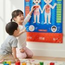 500043 쇼핑하우