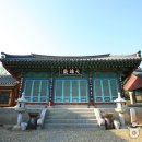 익산애견테마파크 이미지