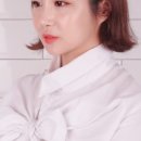 보그래상점