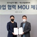 웰빙기획