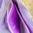 에이에이치솔루션 이미지