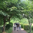 신동수변 이미지