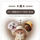 24시 온동물의료센터 이미지