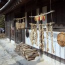 최진사