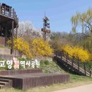 DMZ 평화의 길 4-1코스(지선코스) 이미지