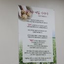 명물옹심이메밀칼국수 - 광주시 이배재로 241 | 명물옹심이메밀칼국수