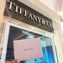 티파니 | 프로포즈 목걸이 추천 | 티파니 스마일 목걸이 실착 후기부터 착용감까지