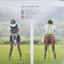 스윙의 기초 이미지