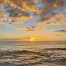 하와이낚시터 이미지