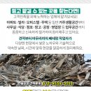 새빛튼튼의원 이미지