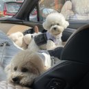 학현4길 이미지