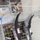 오정차사랑 이미지