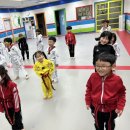 소나무향기태권도장 이미지