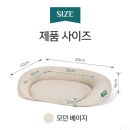 펫아지트 | [강아지 방석] 슬개골 약한 강아지 추천! 몽제 펫베드 사용 후기🐶