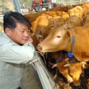 조영수농장 이미지