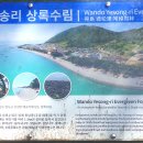 전남 완도 보길도 티스토리