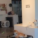 명지로16번길 이미지