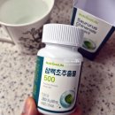 삼백초 | 삼백초추출물 뉴트리원 삼백초 추출물 후기 (개인경험)