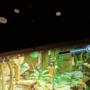 대장경테마파크기록문화관3층 이미지