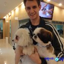 동물병원 왓슨 이미지