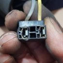 플러스카센타 이미지