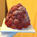 샛별 | [노원 맛집 • 카페] 공릉 멍텅구리 즉석떡볶이, 노원역 샛별제과 케이크 후기